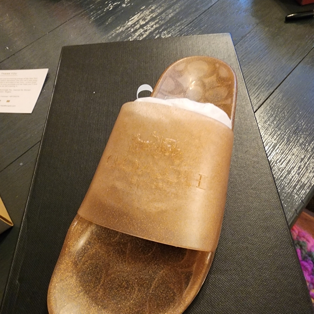 Coach Bronze Glitter Slide Sandal